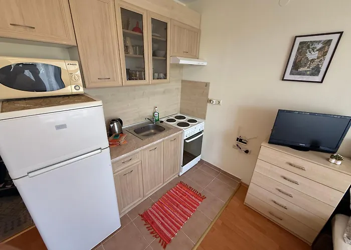 D5 662 Noks Sunny Beach